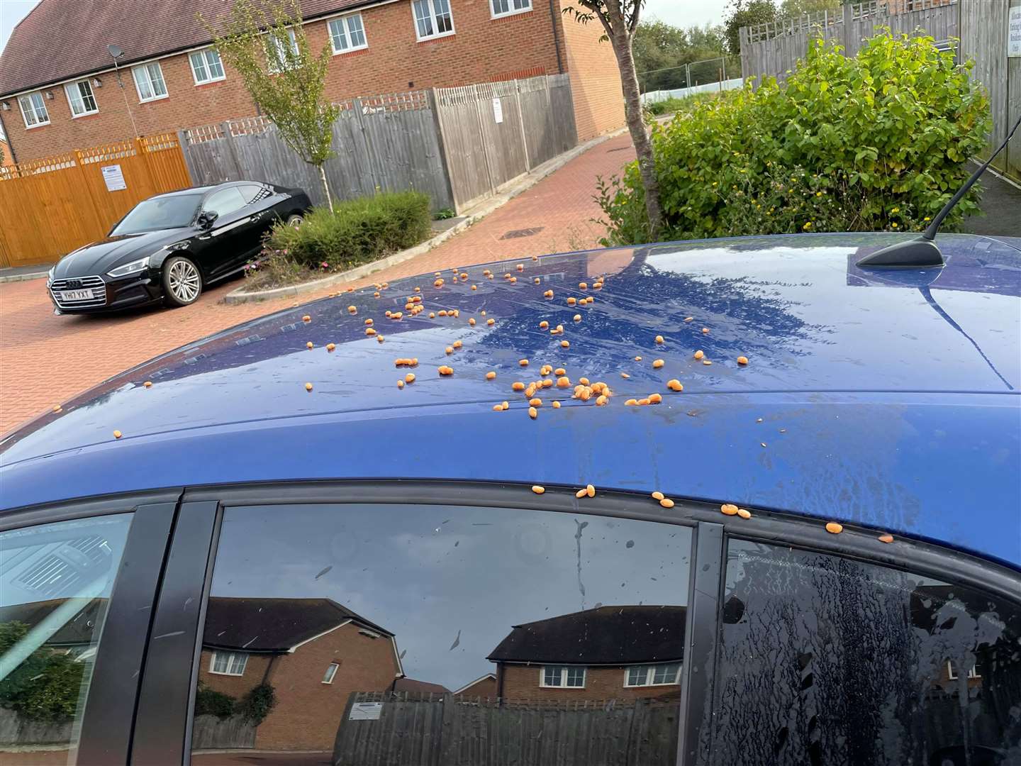 Beans were also thrown over cars in the road