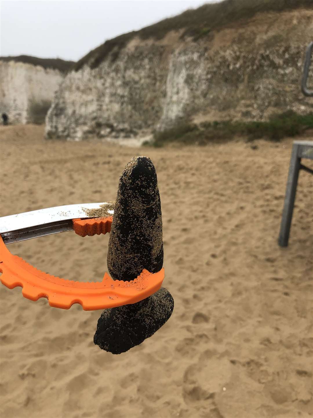 The sex toy discovered on the sand at Botany Bay