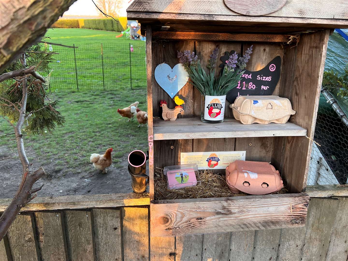 Katriona Shovlin's honesty box collection for her hen's eggs in Upchurch. Picture: Megan Carr