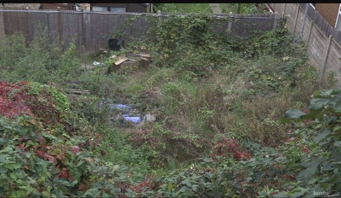 An overgrown allotment plot in Gillingham