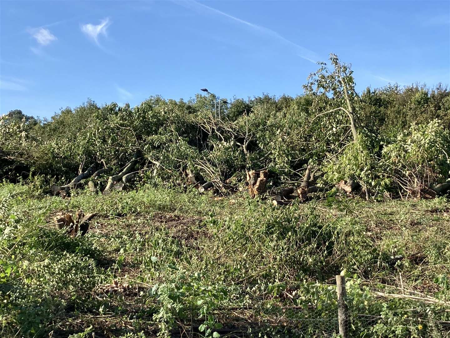 Trees and bushes have been pulled down to clear the site for a new flyover over the Stockbury roundabout at Sittingbourne
