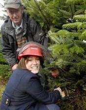 Katie and Andrew Clough cut down one of the Christmas trees at Courtlands Farm, Barham.