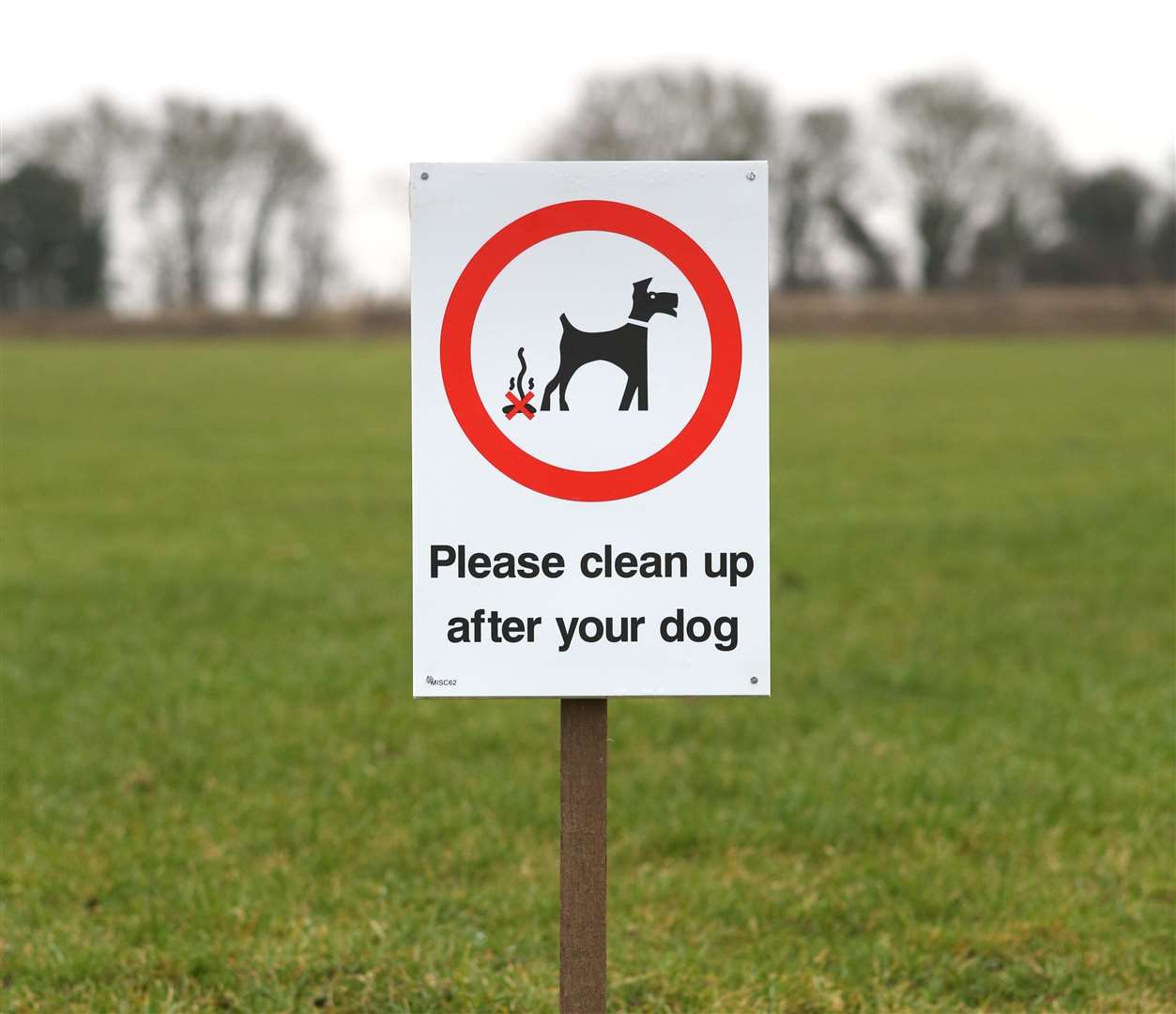The green at Acton Village Hall where dog fouling is a problem..Pic - Richard Marsham
