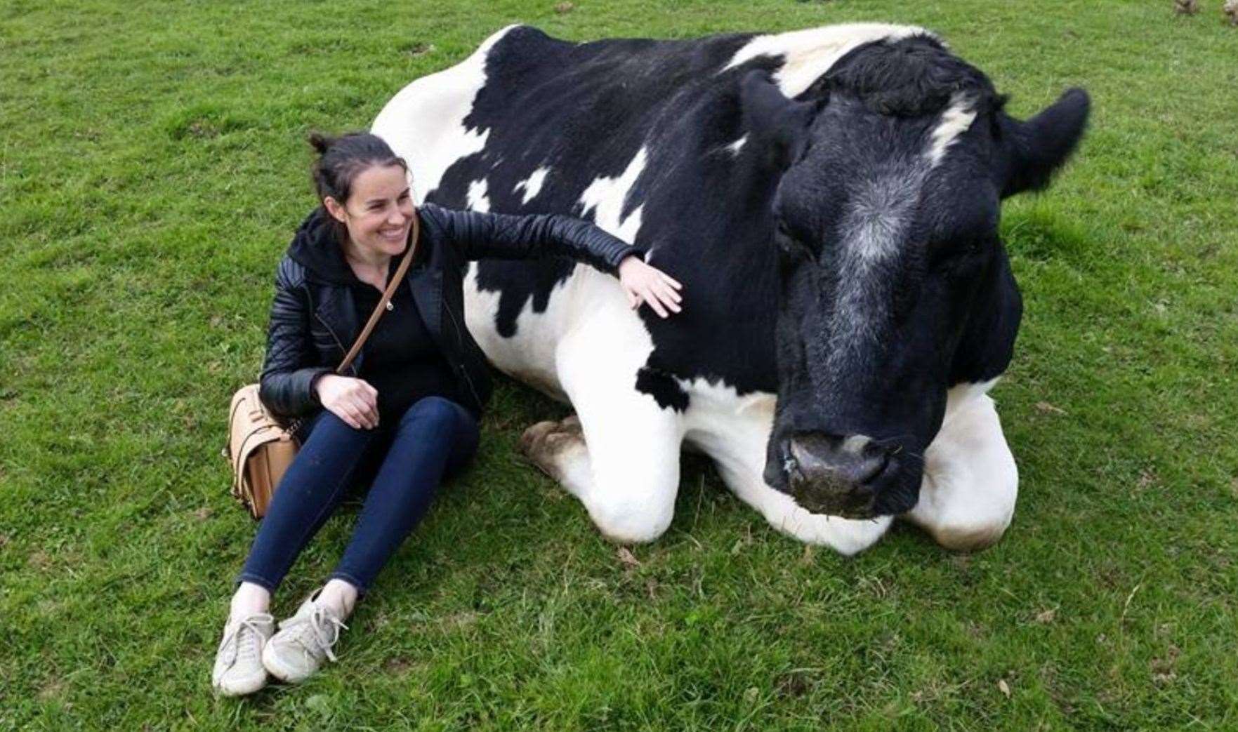 Maria Chiorando, editor of Plant Based News, meets a cow