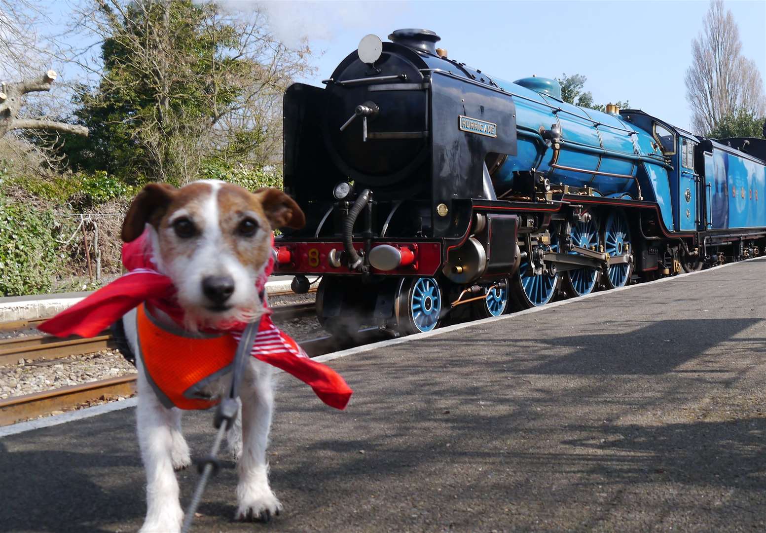 Romney Hythe and Dymchurch Railway