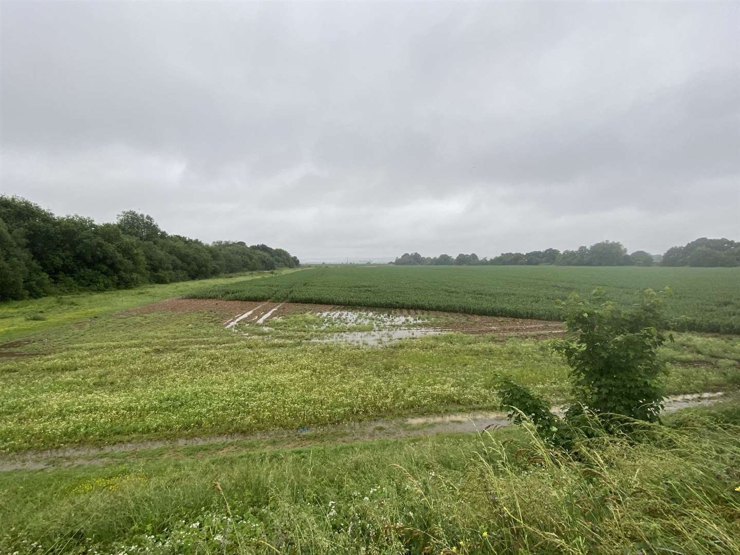 The 16-acre site is currently farmland. Picture: Medway Council