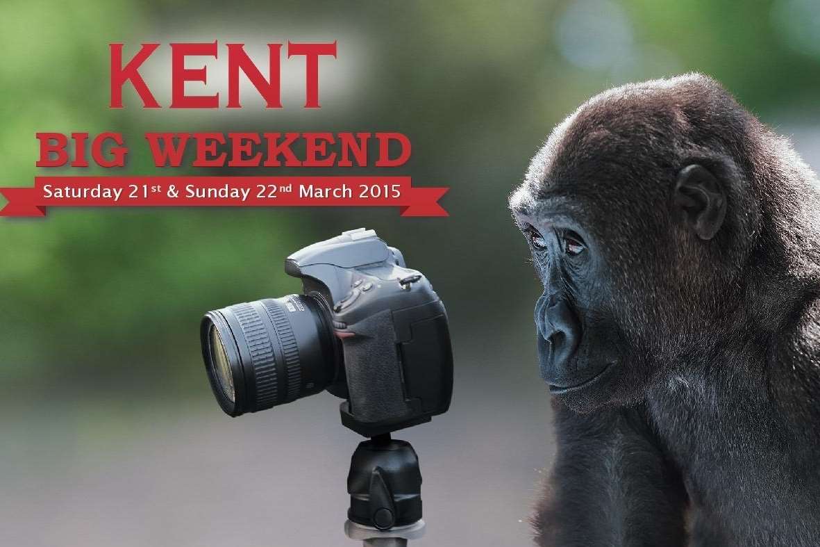 The Big Kent Weekend 2015