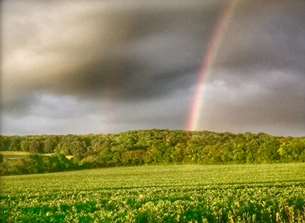 Maria Lambkin captured this rainbow over dark skies