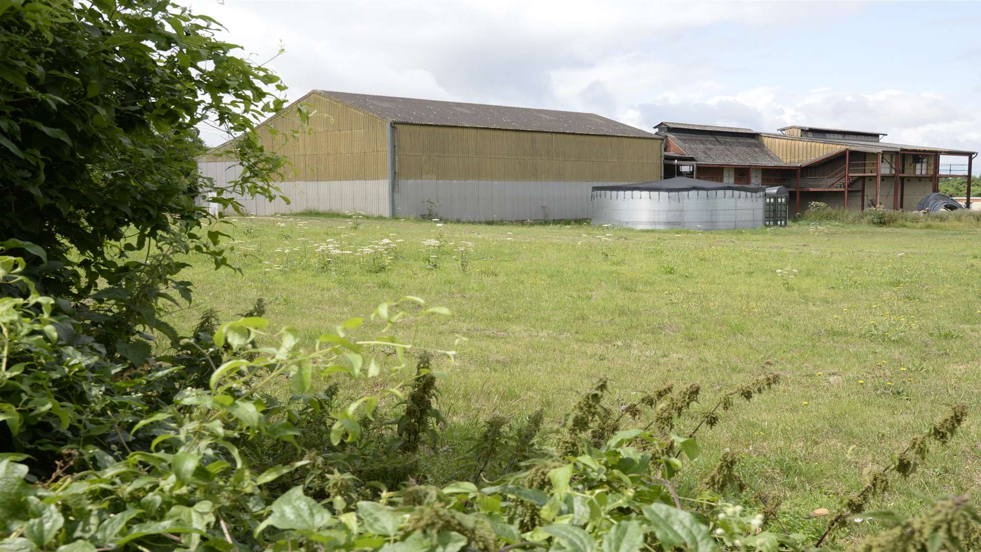 The site for a proposed cold store at Owens Court Farm, Selling. Picture: Chris Davey