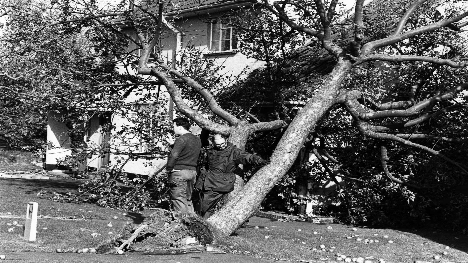 Residents survey the damage of the Great Storm.