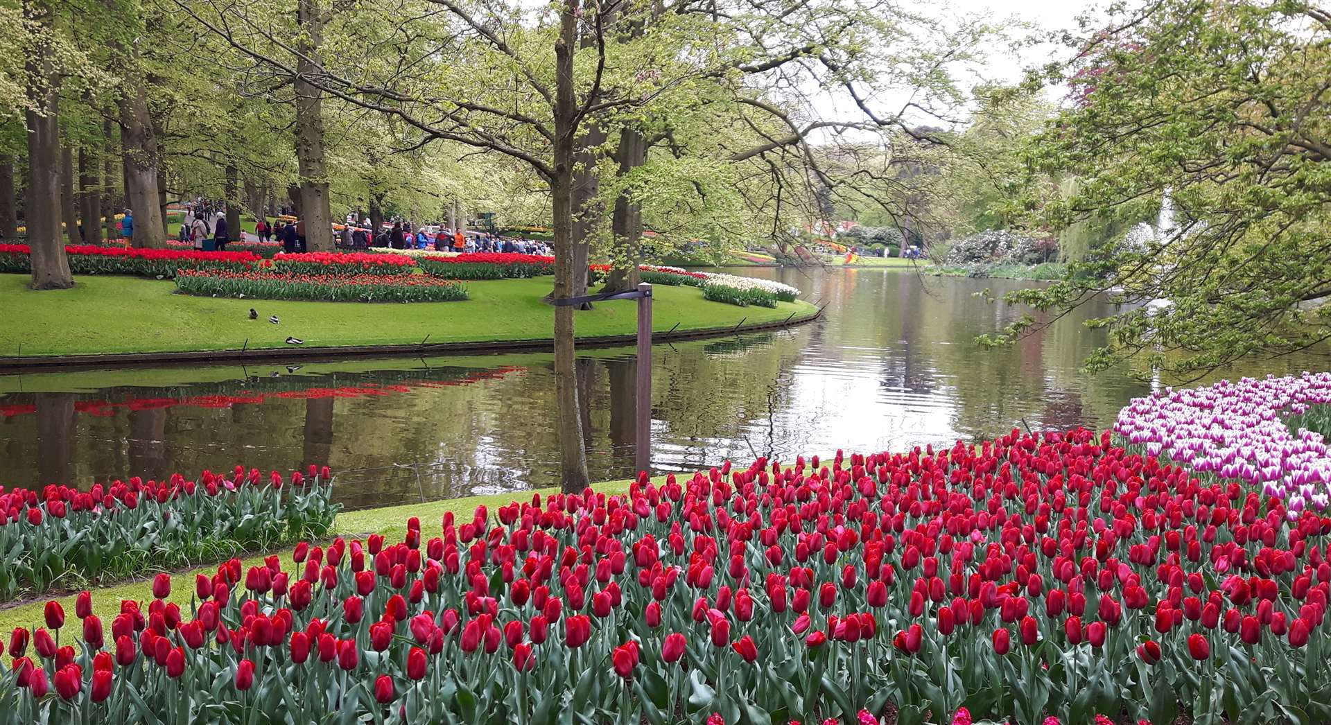 The colourful Keukenhof Gardens in Amsterdam