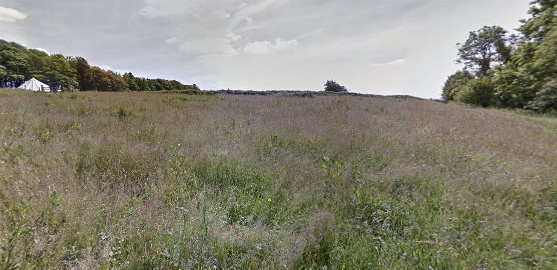 Lucinda may be hiding in the long grass. Picture: Google