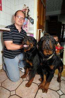 Carl with two of his sheepish Rottweilers, Bear and Neo