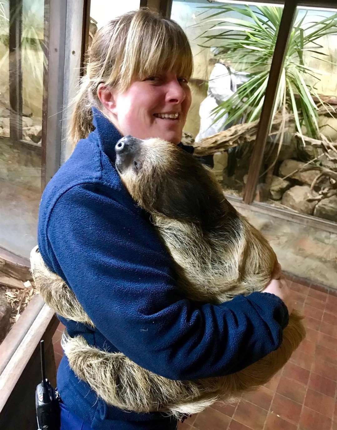 Deputy head keeper Gemma Romanis has a cuddle with Flash the sloth at Drusillas