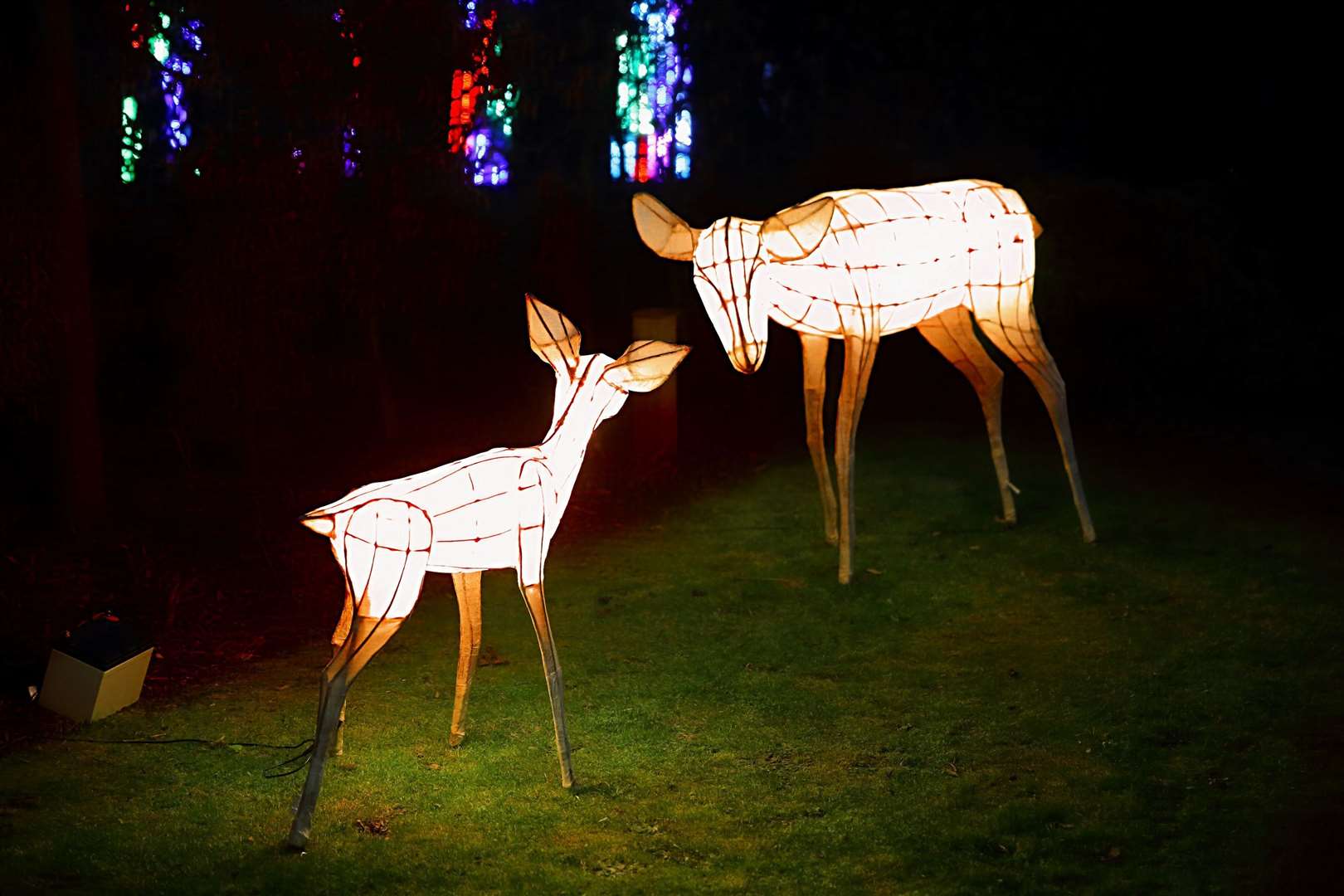 There were various installations including woodland animals and cityscapes. Picture: Cohesion Plus