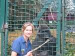 Lorna Wanless with Tebe at Howletts