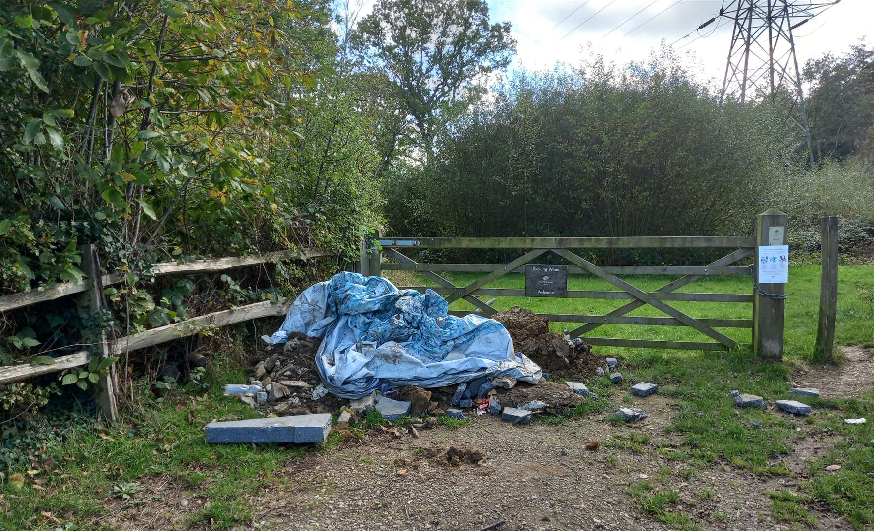The flytip in Capel Road, Ashford. Photo: ABC