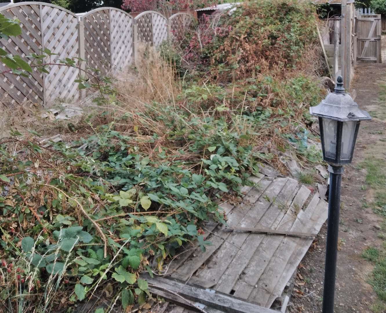 The home has not been maintained for years. Picture: Bexley Council