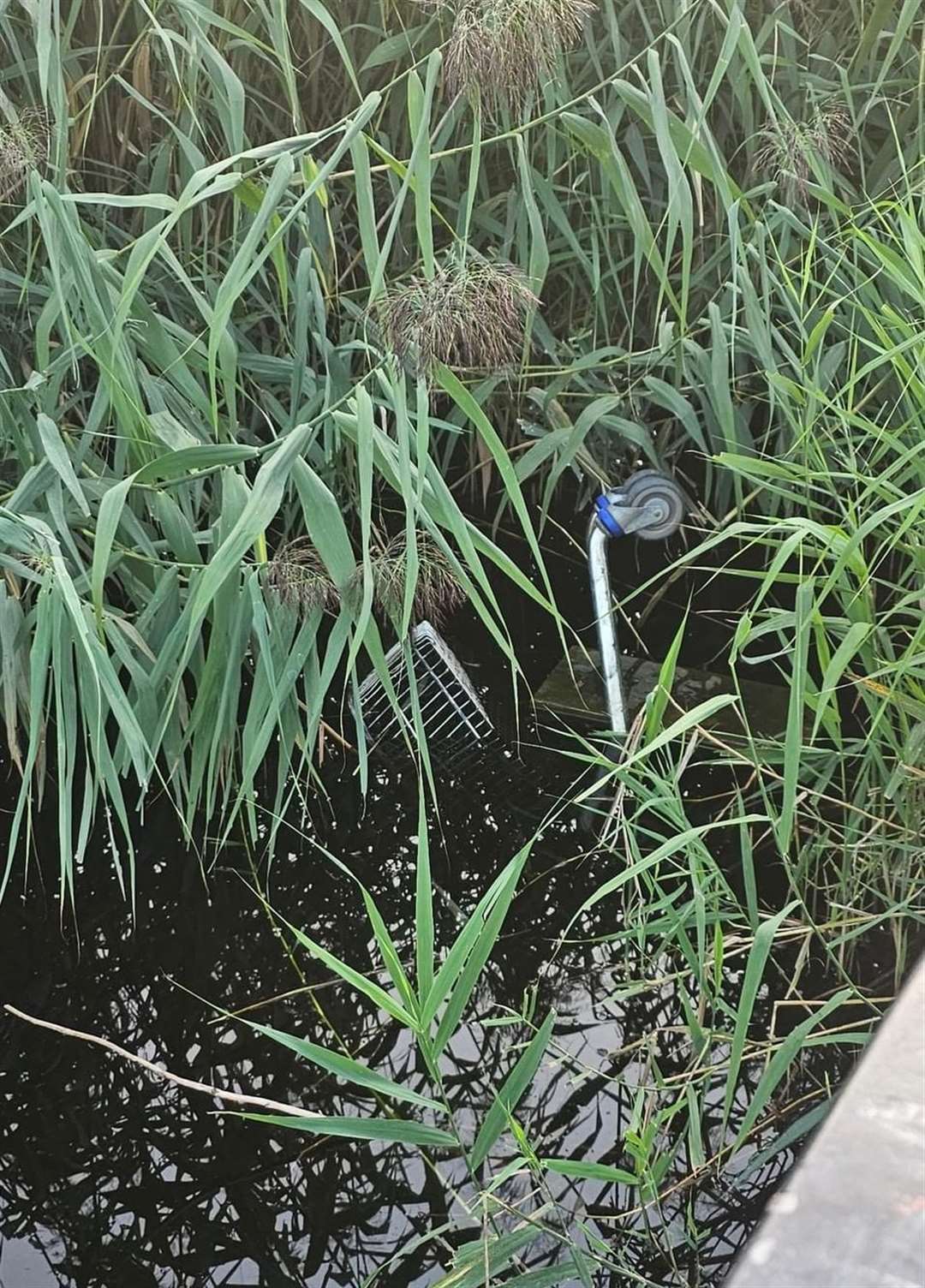 A trolley has been submerged in the lake