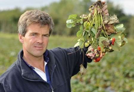 Farmer David Figgis with his rotting fruit earlier this year