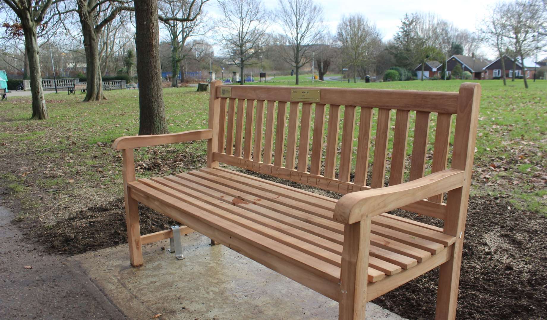 The seat was donated to Victoria Park by Netflix. Picture: ABC