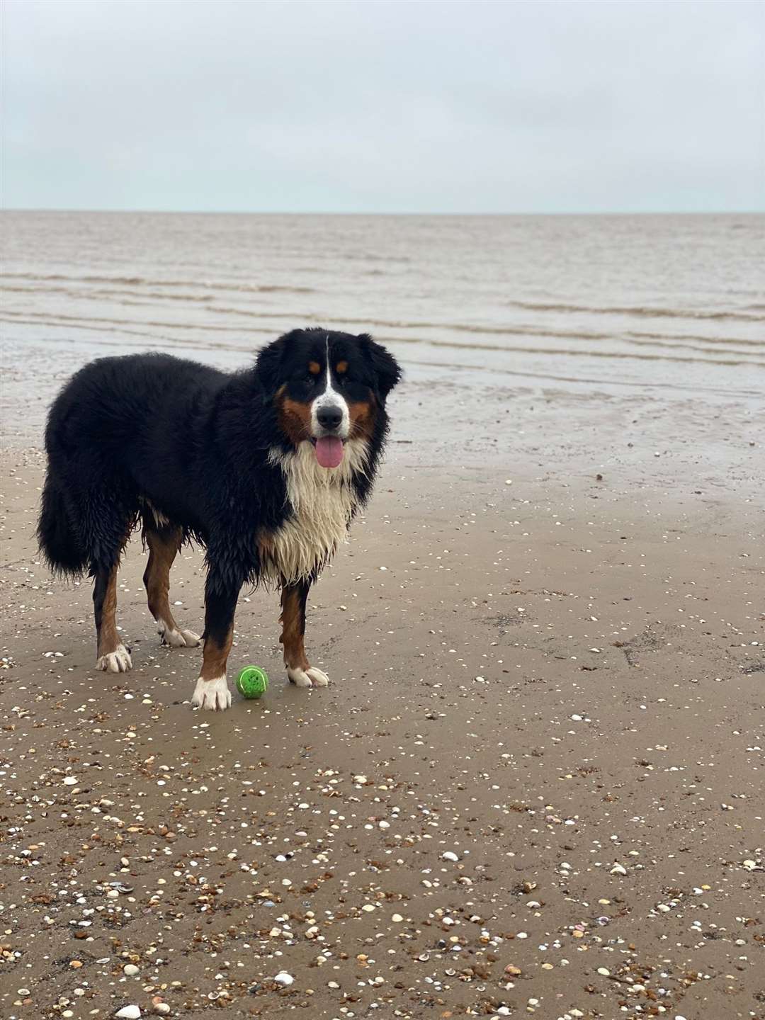 Hudson enjoys the beach