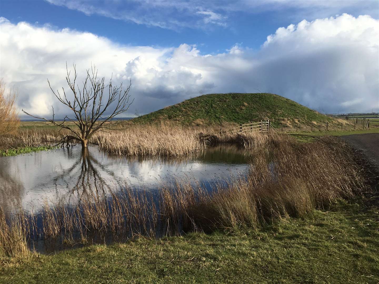 The Isle of Sheppey's picturesque Elmley Nature Reserve