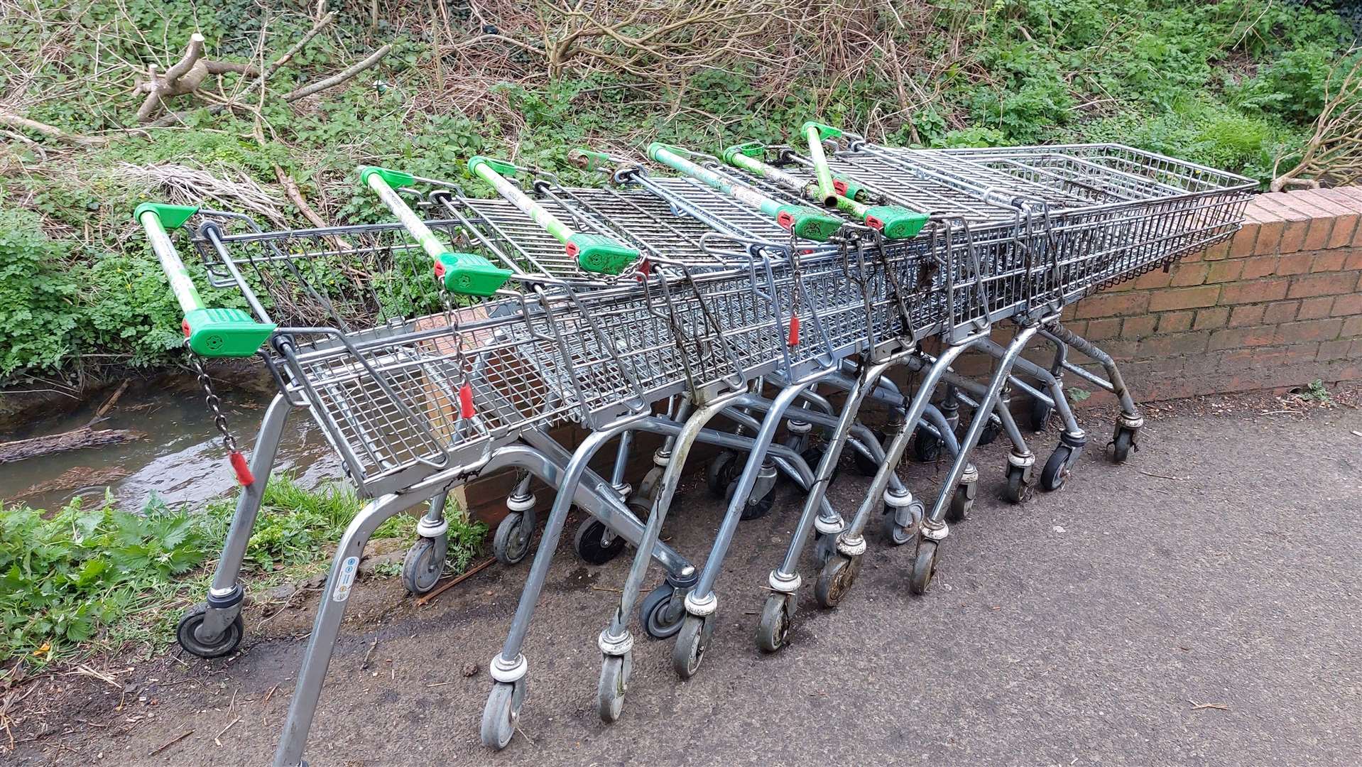On their latest walk, they hauled out seven trollies