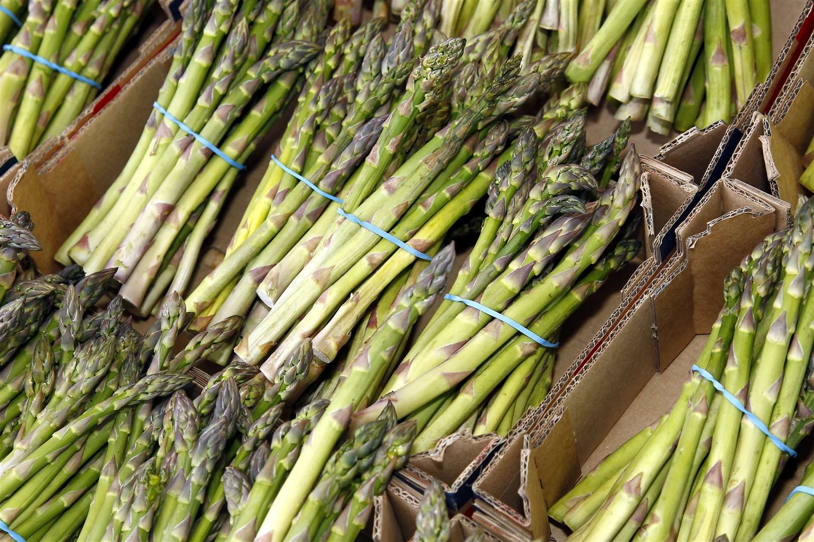 Asparagus is coming in to season Picture: Sean Aidan