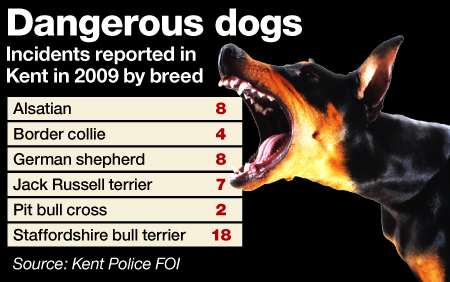 Dangerous dogs seized by Kent Police