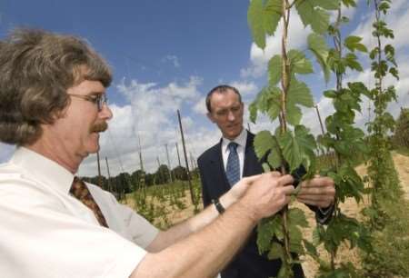 Dr Peter Darby, left, and David Holmes examine the harvest
