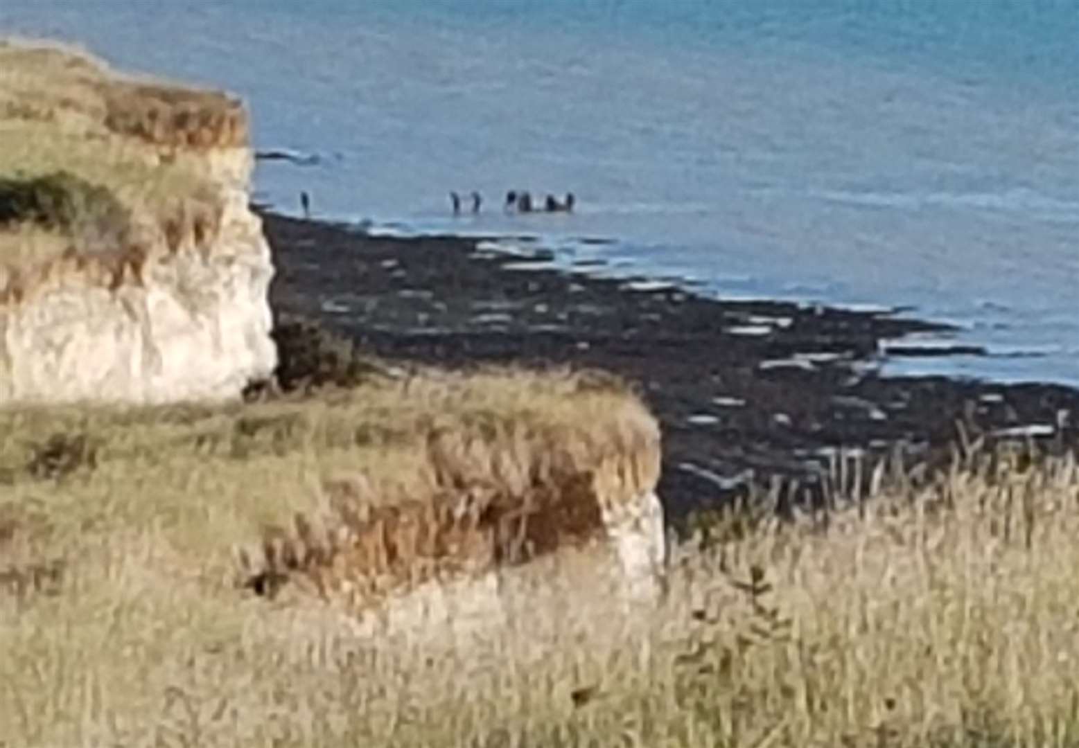 Migrants were seen landing at St Margaret's Bay this morning