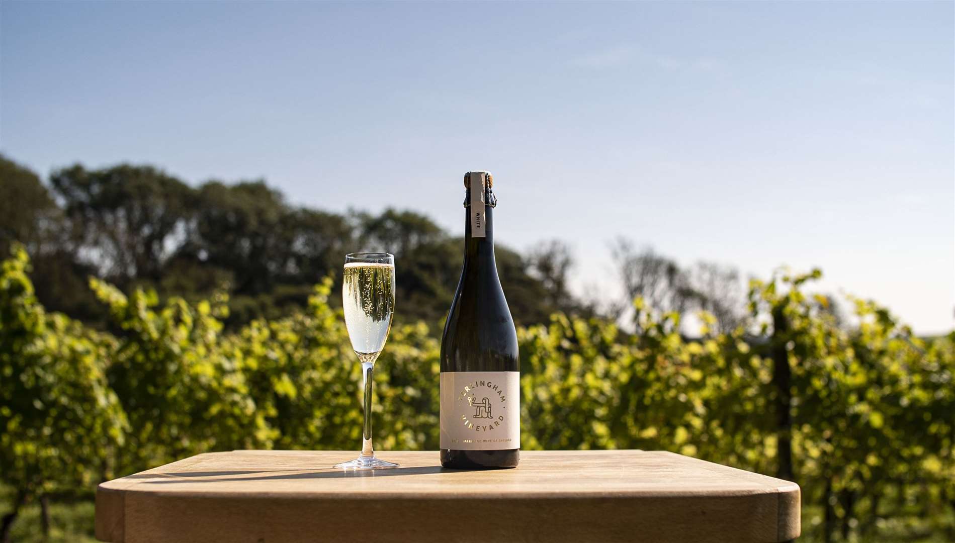 Enjoy a glass of wine overlooking the vineyard at Terlingham. Picture: Terlingham Vineyard