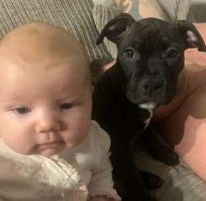 Darren's daughter and dog are only days apart in age. Picture: Darren James