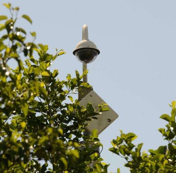 Overgrown bushes block the view of security cameras. Picture: Paul Amos