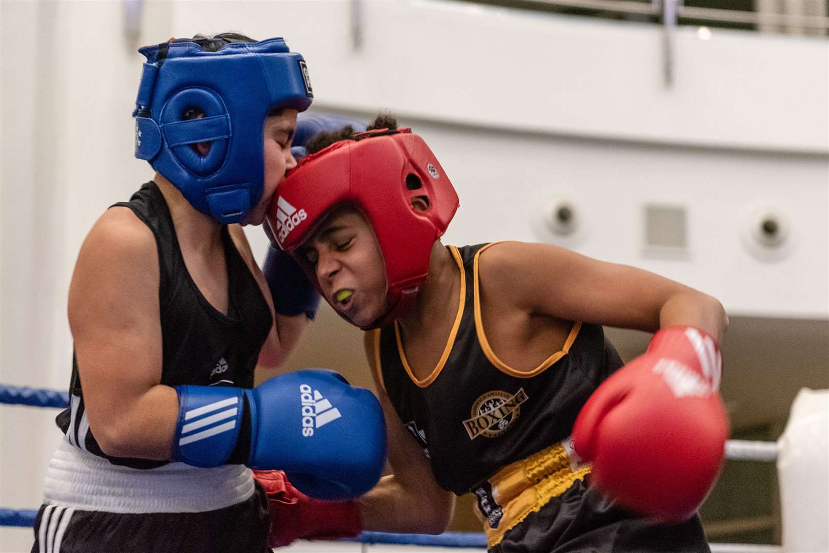 Sandwich Amateur Boxing Club's next show is tonight at Deal Welfare Club