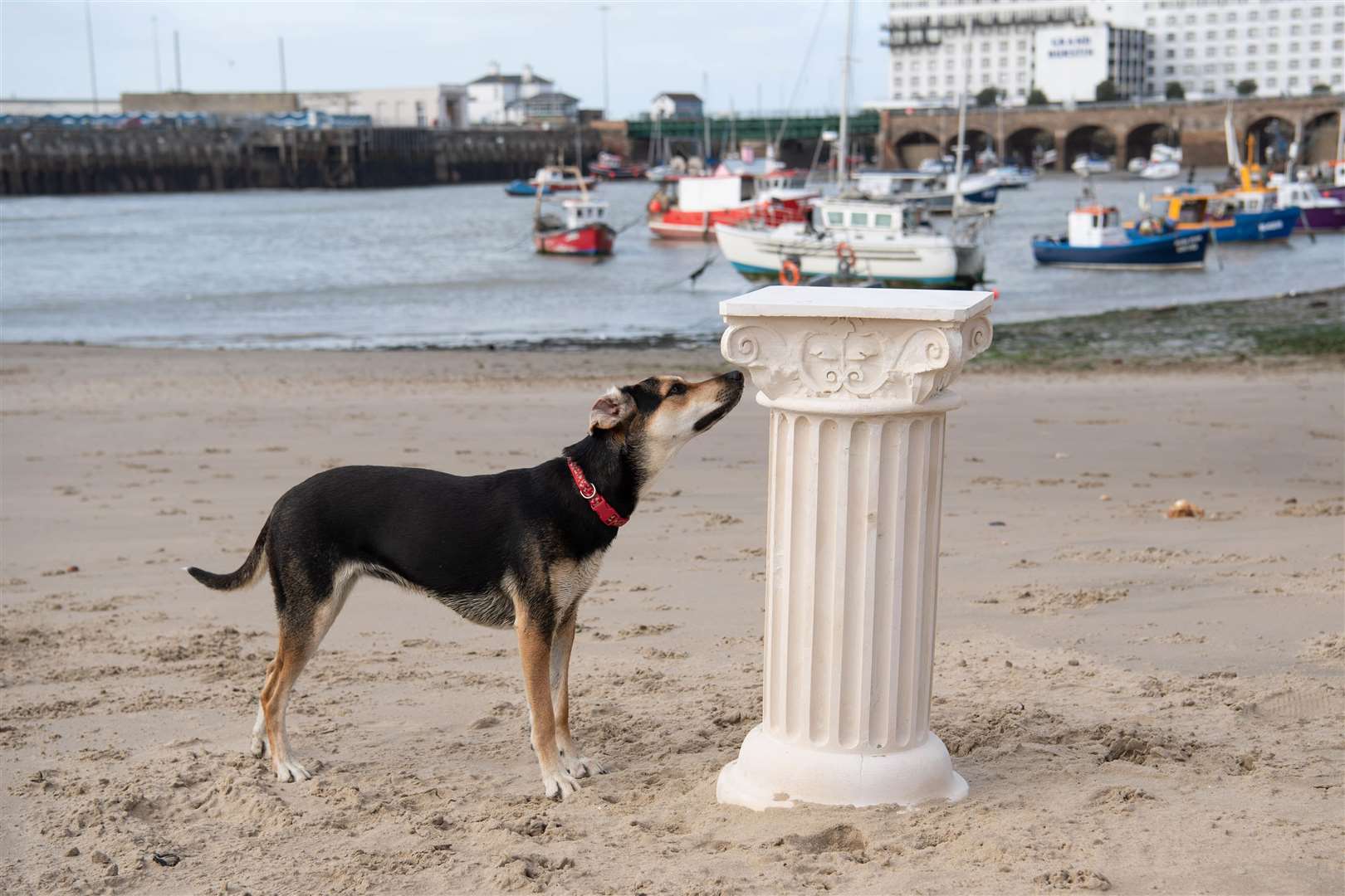10 vacant plinths have been placed in various locations around the seaside town. Photo credit: Matt Crossick/PA Wire