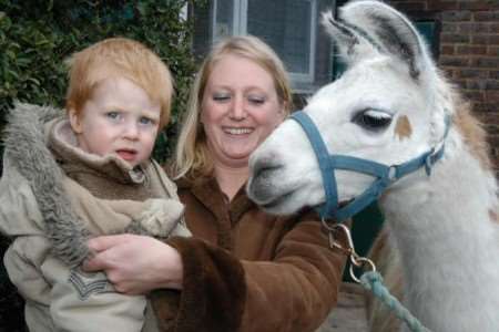 Two-year-old Freddie and mum Fiona get up close with a llama. Picture: PAUL AMOS