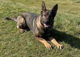 PD Fallon helped save the man's life. Picture: Kent Police