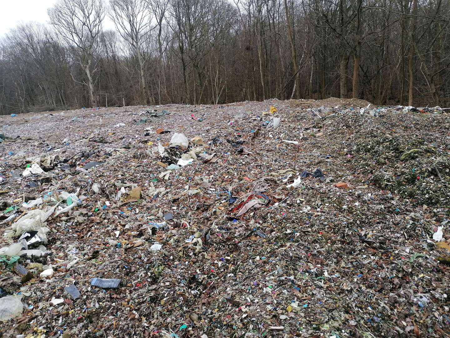 Kent Wildlife Trust has described the situation on Hoads Wood as 'horrendous'