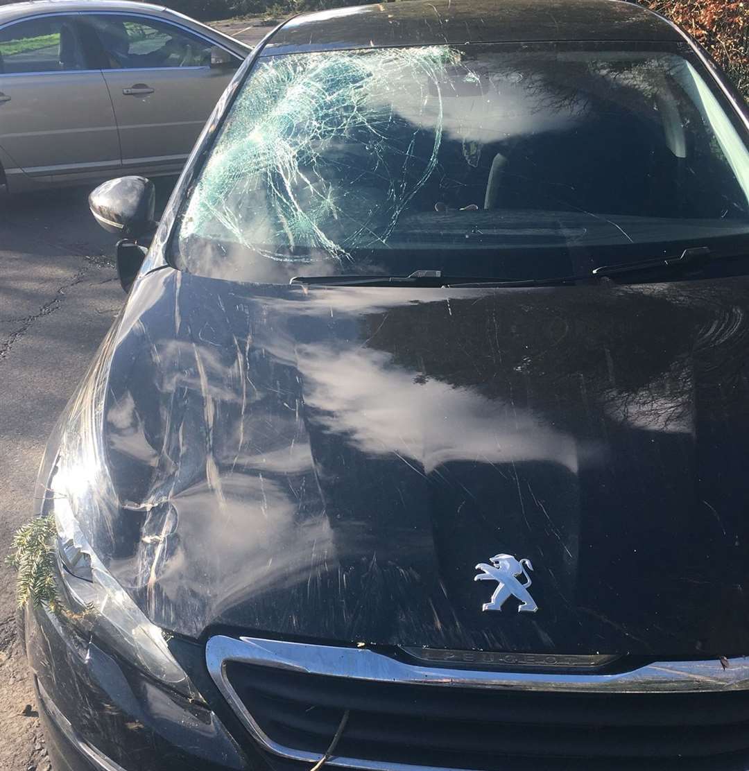 Abigail McKay's car was hit by a fallen tree in Grove Green (7675401)