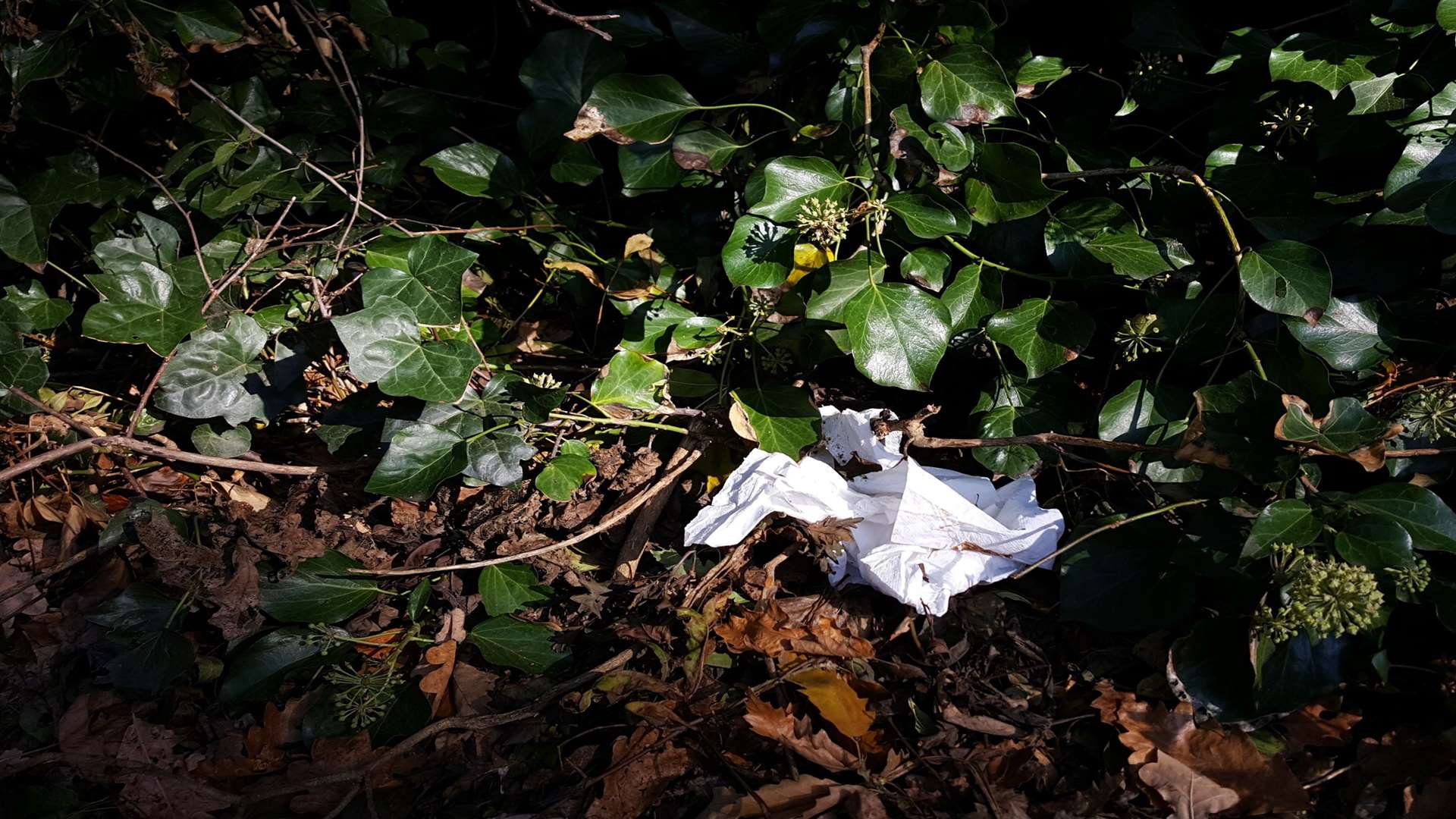 Litter pictured in a lay-by off the A20