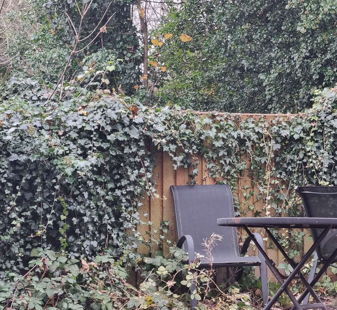 Thieves jumped over garden fence using a chair at gated home