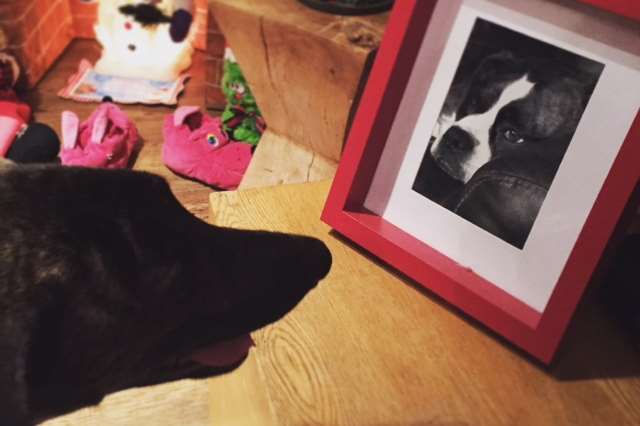 Belle looks at a picture of Poppy and she moved into her new home