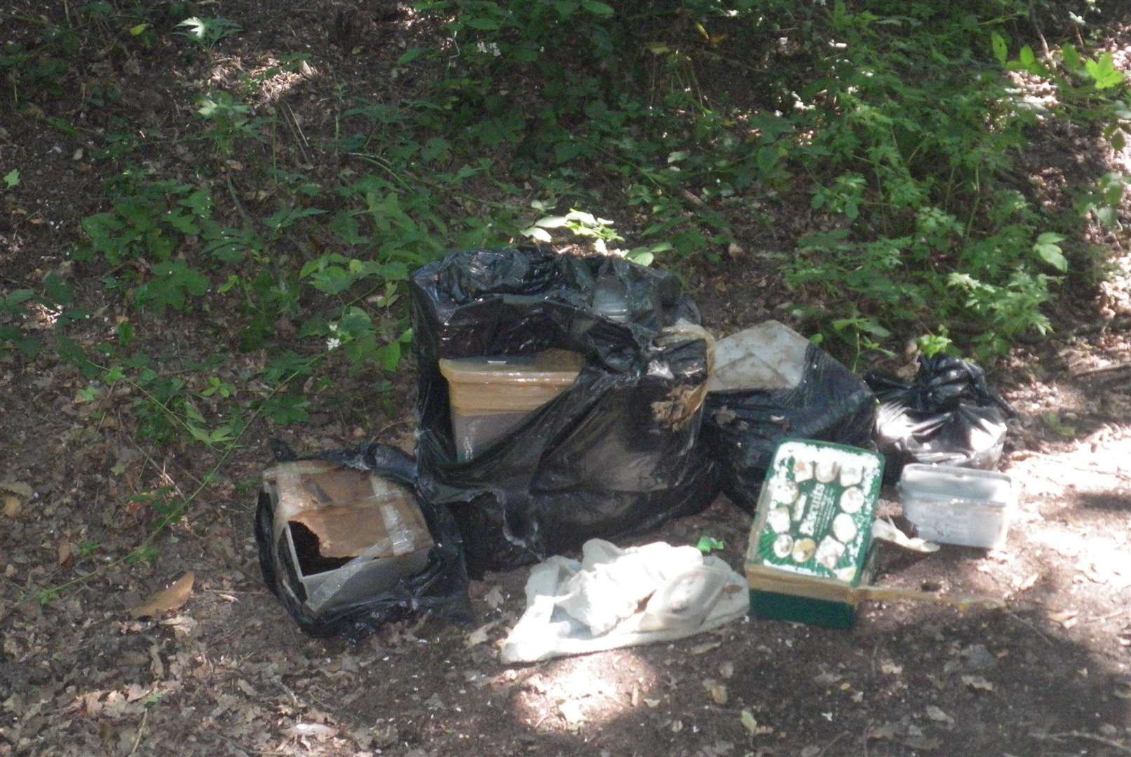 The bodies of 10 dead animals were found in sealed boxes in Pembury, in early July
