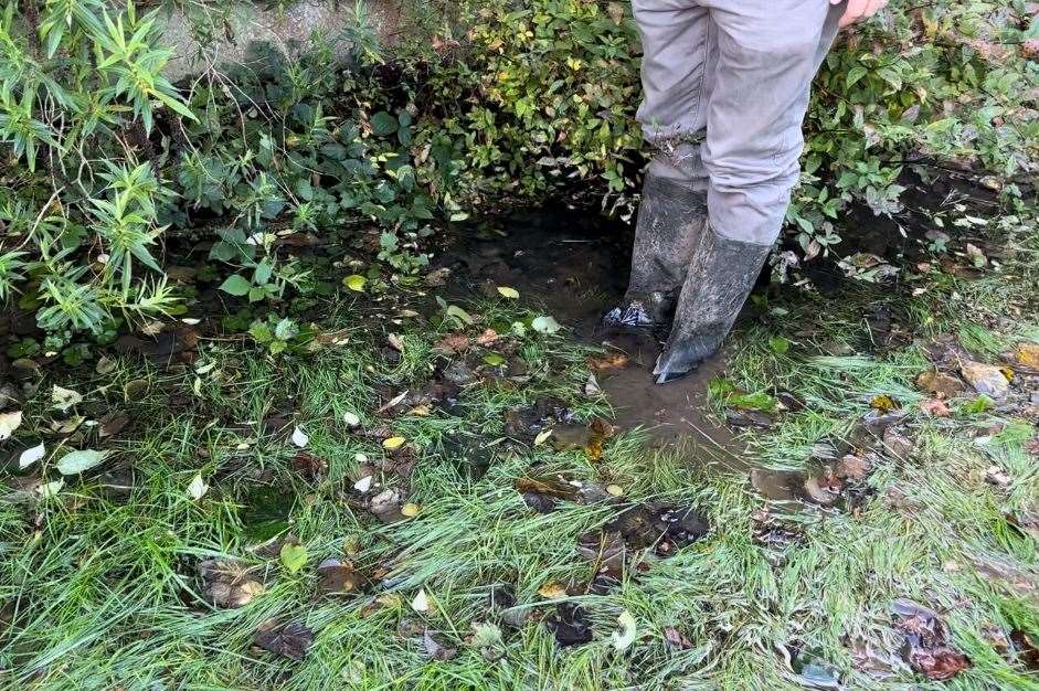 The water is ankle-deep in the Chung Roth family’s garden