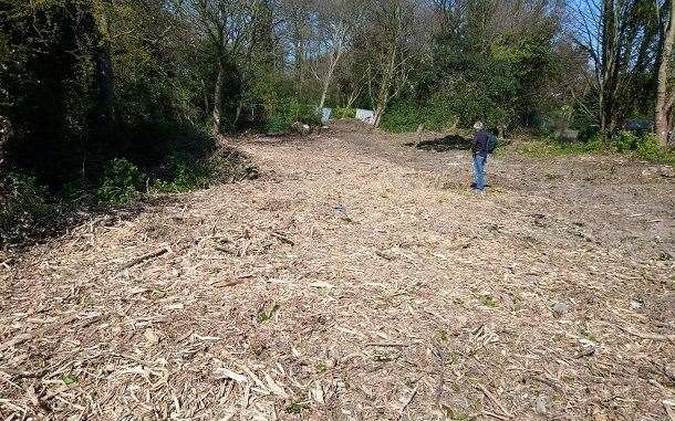 After: Trees were removed from woodland in Park Avenue in Broadstairs