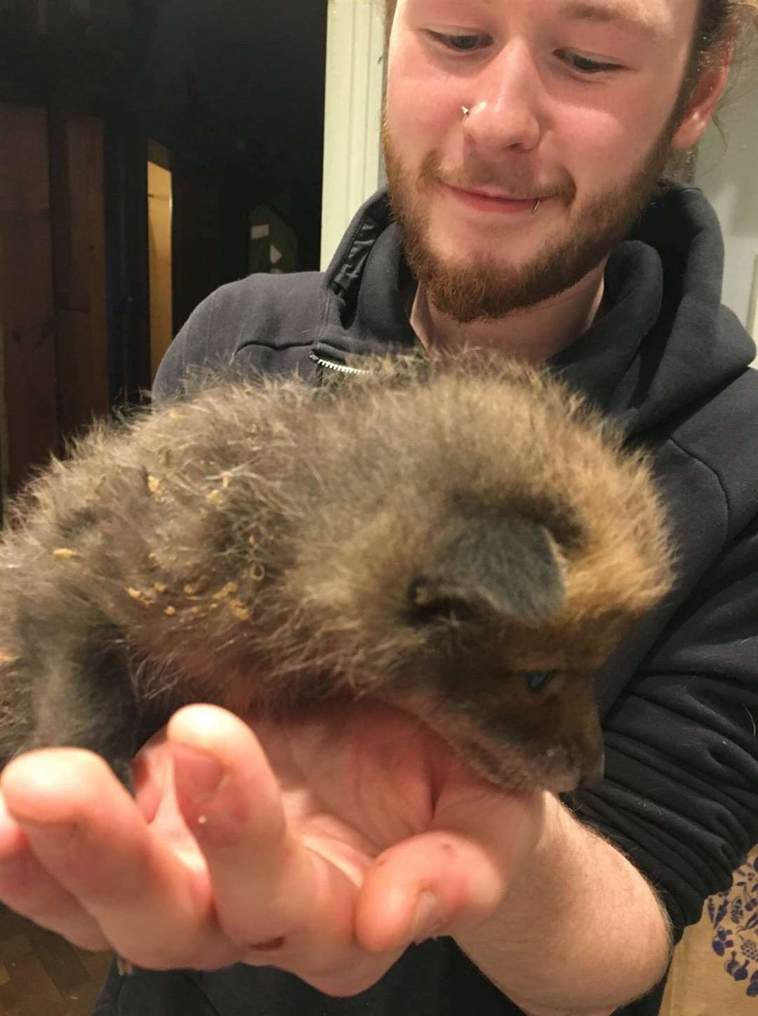 Kent Wildlife Rescue Services volunteer Jacob Endean from Sheerness with a fox cub