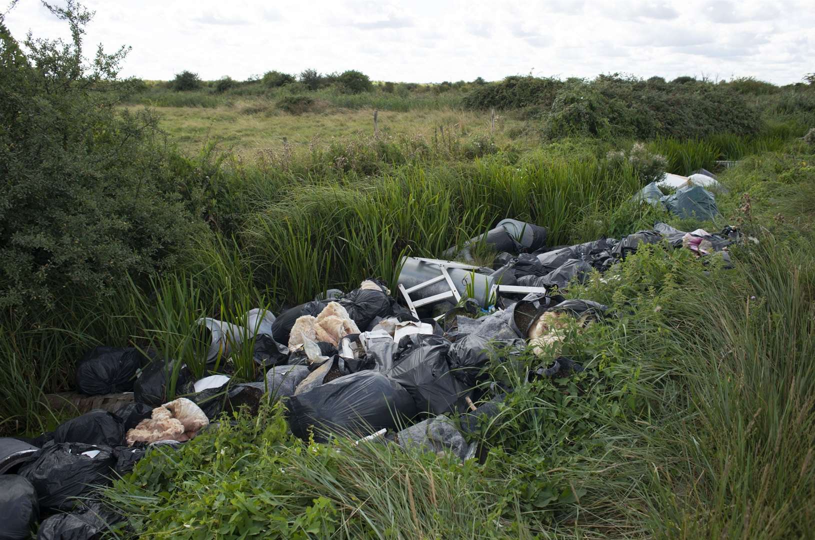 ’Litter wardens cannot be in every lane or at every farm gate to catch fly-tippers’Library picture