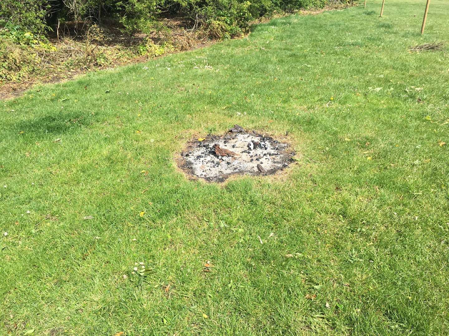 The ground has been left damaged by burning. Photo: Stephen Bailey